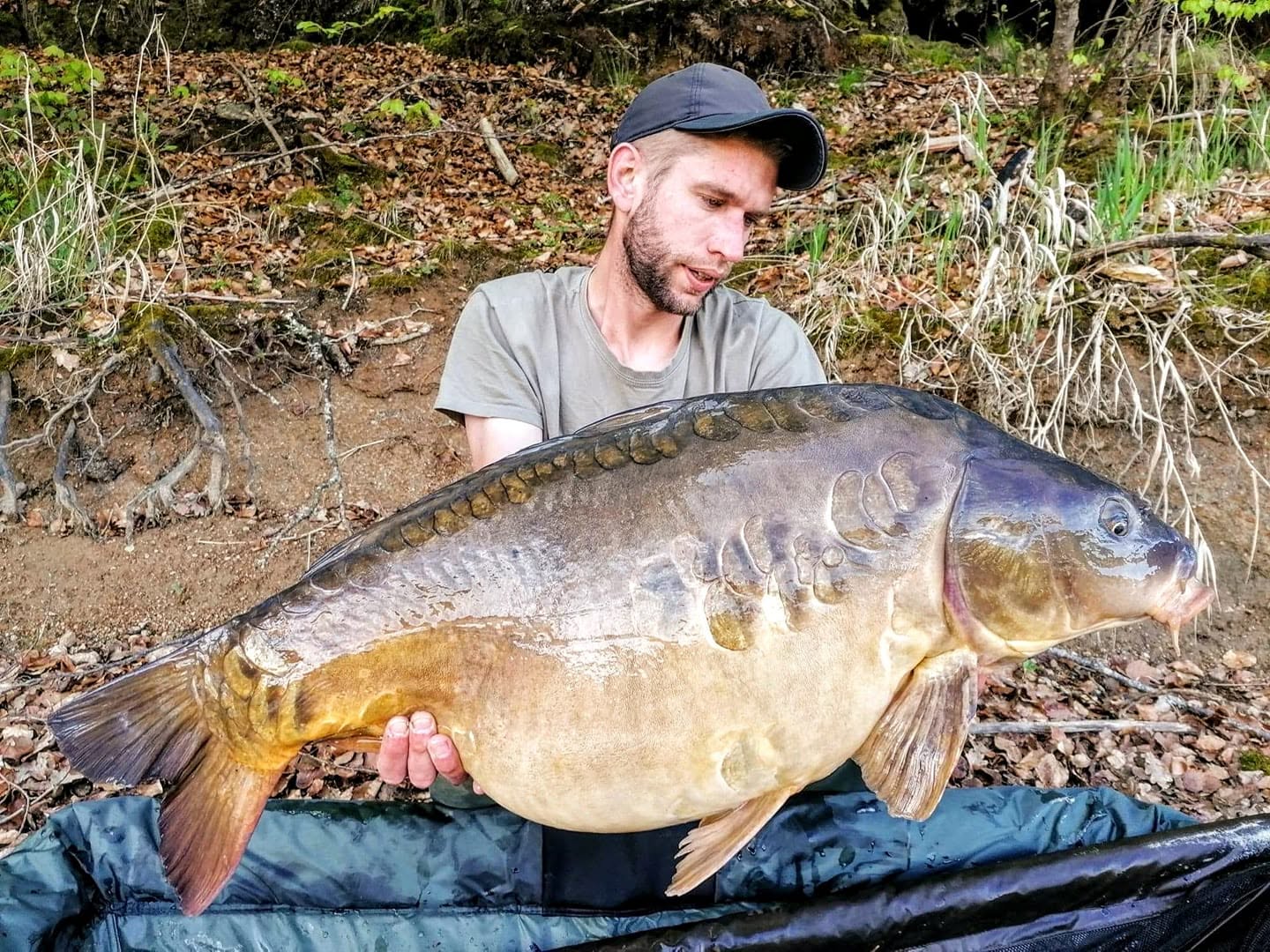 PROBIO-FISH