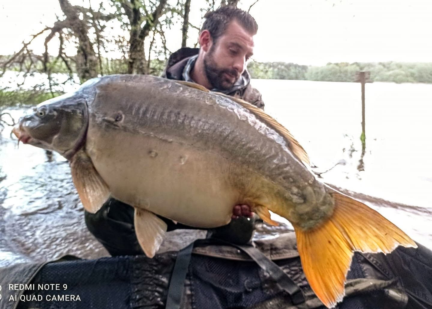 PROBIO-FISH