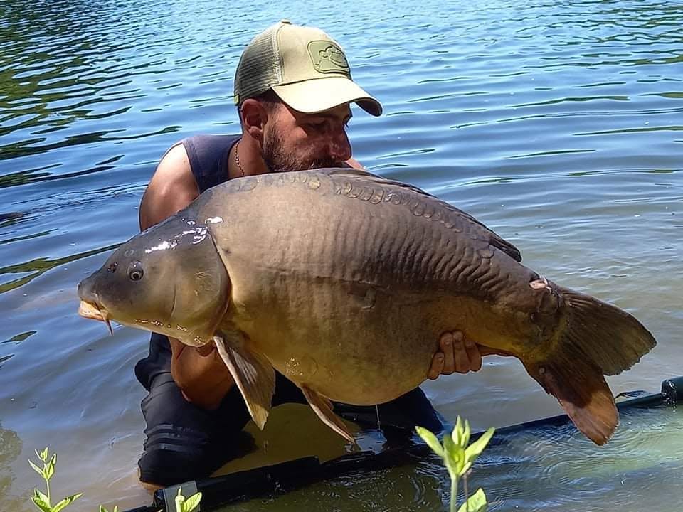 PROBIO-FISH