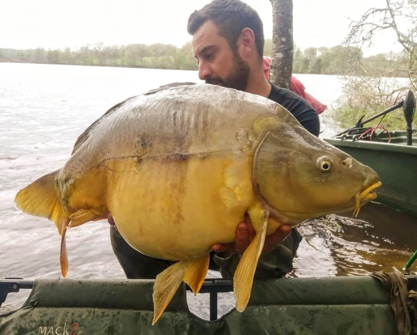 Probio-Fish