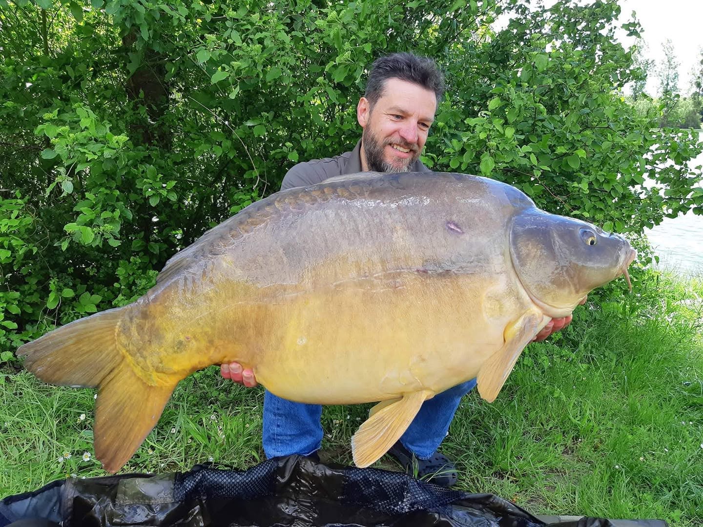 PROBIO-FISH