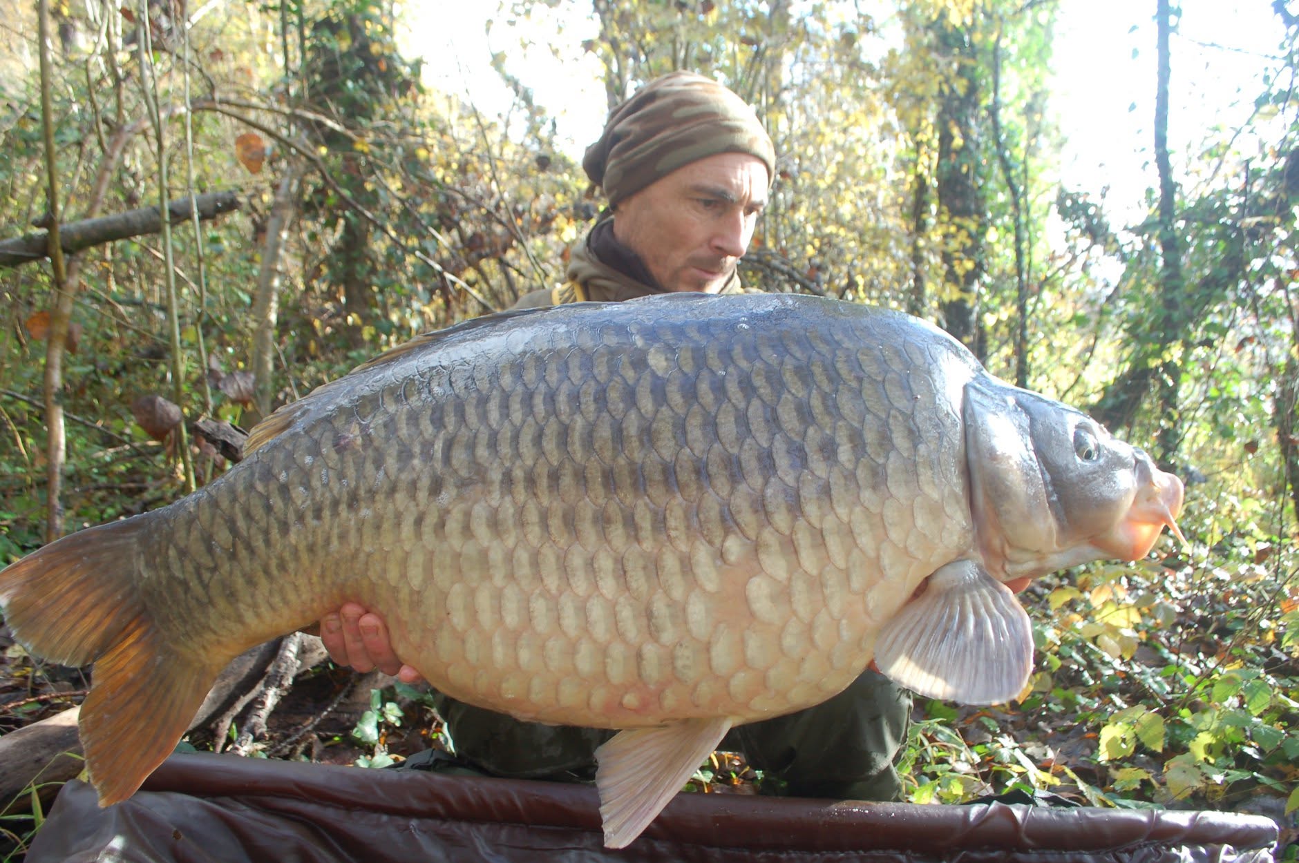 Probio-Fish