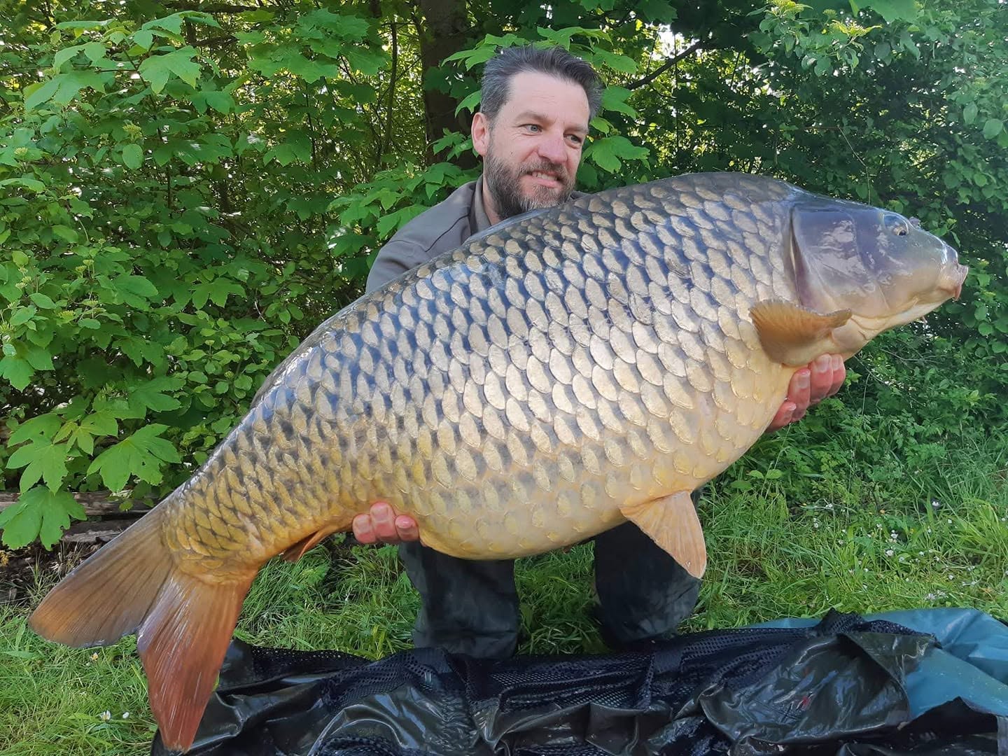 PROBIO-FISH