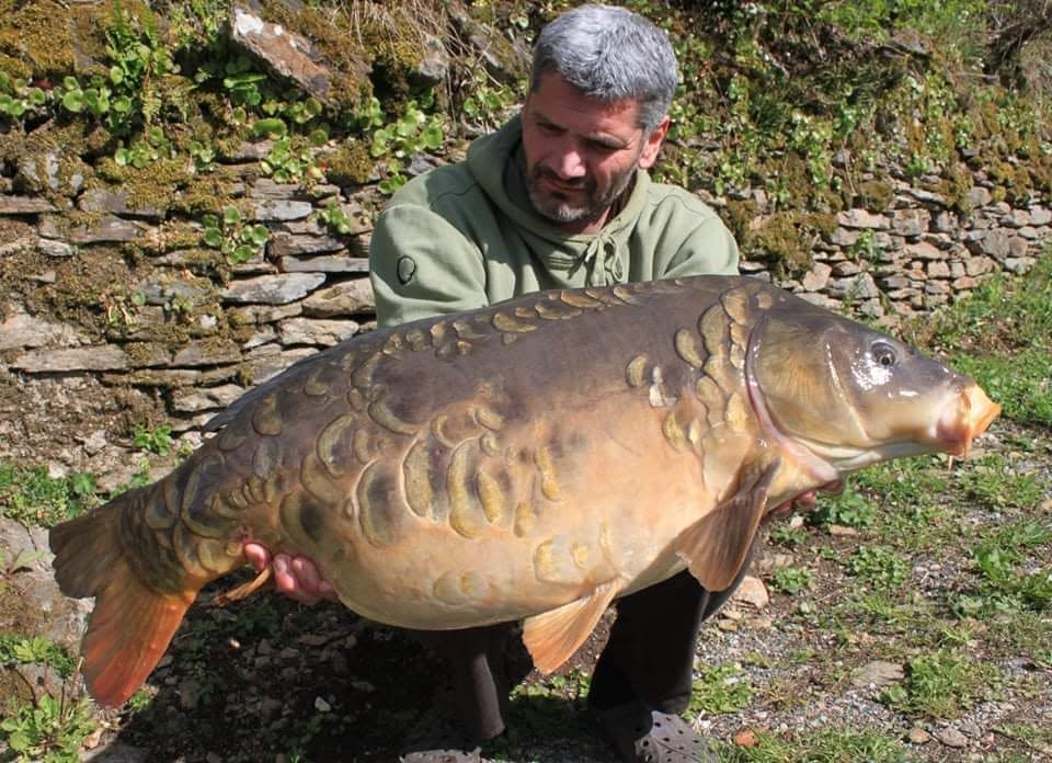 PROBIO-FISH