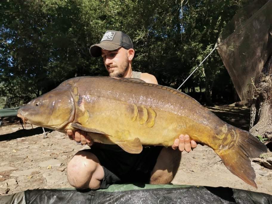 PROBIO-FISH