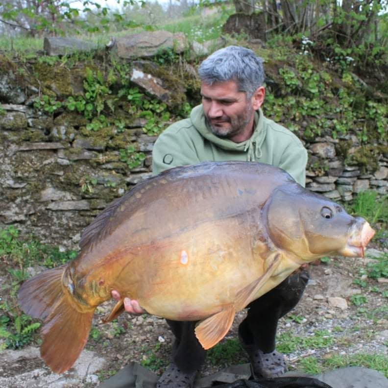 PROBIO-FISH