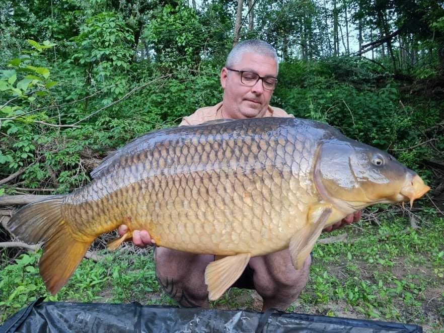 PROBIO-FISH