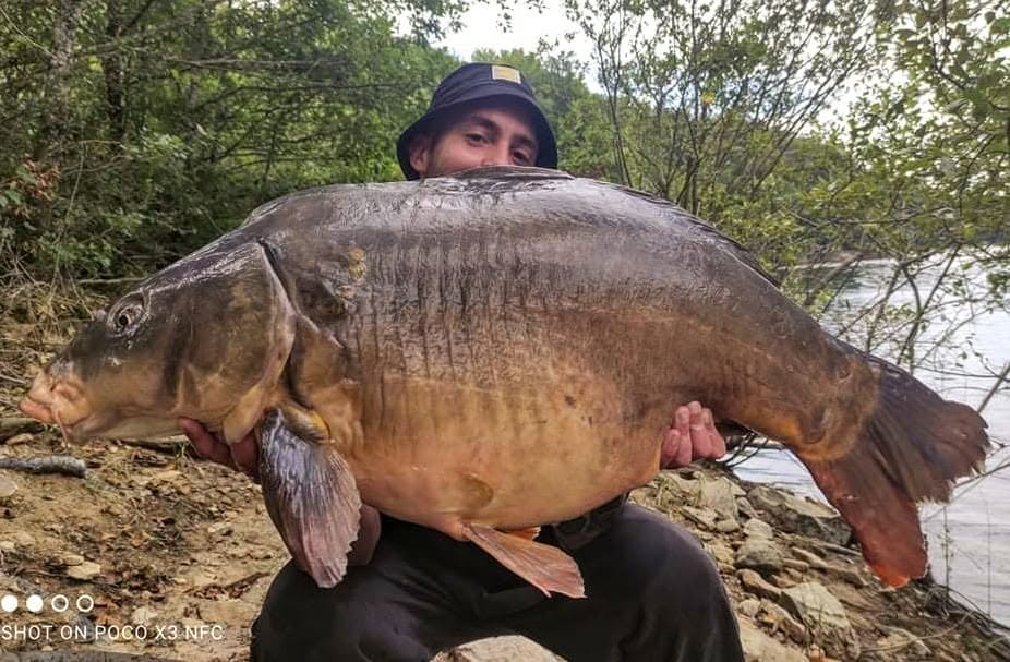 PROBIO-FISH