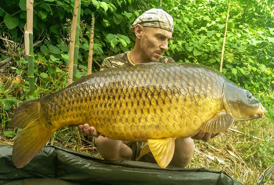 PROBIO-FISH