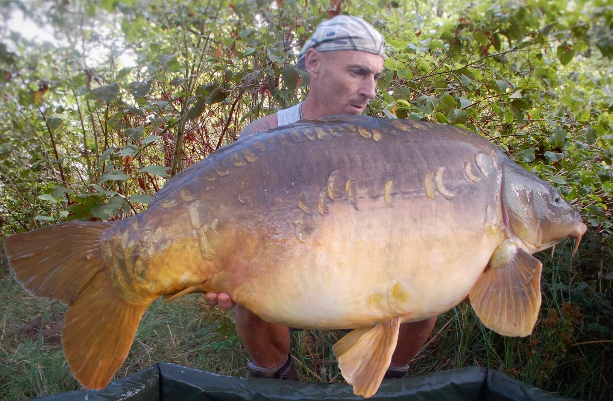 karashi'z et Probio-Fish