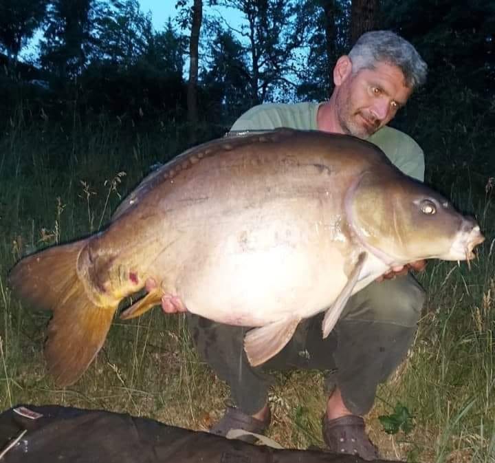 Probio-Fish