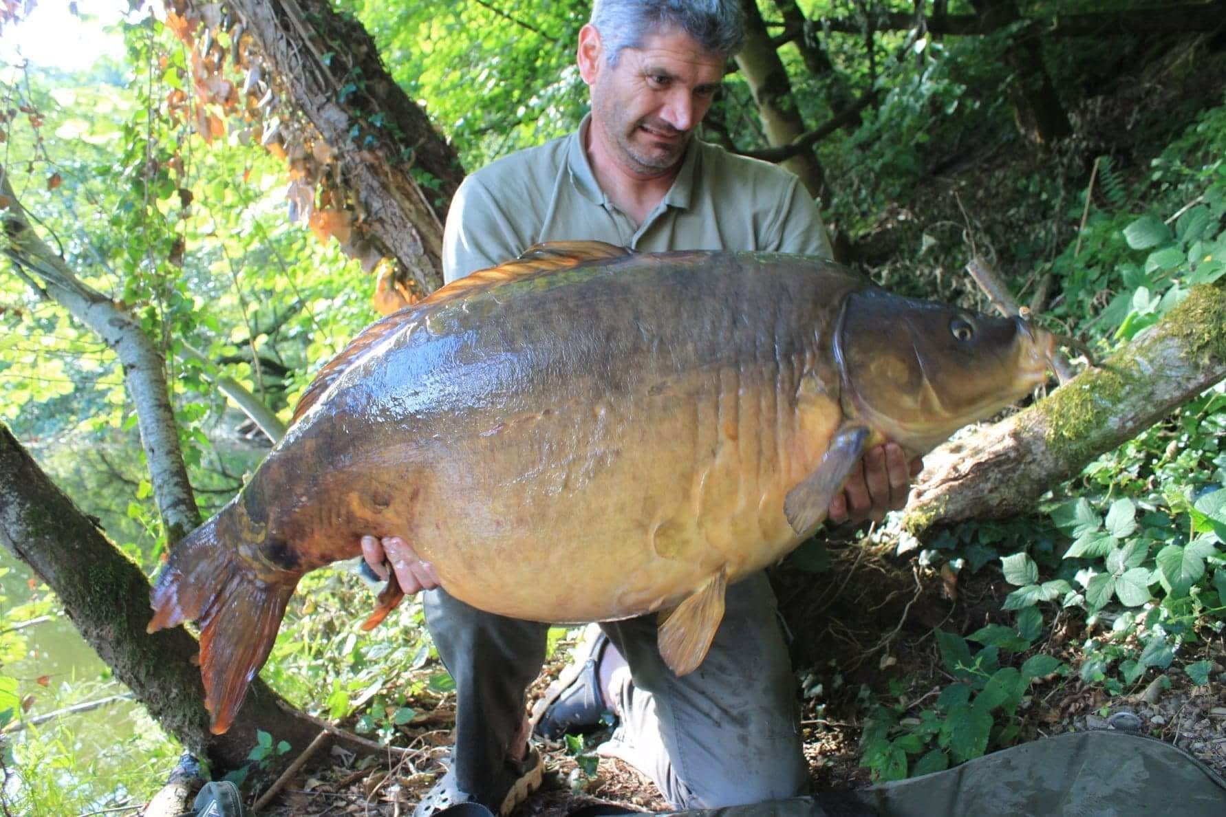 PROBIO-FISH