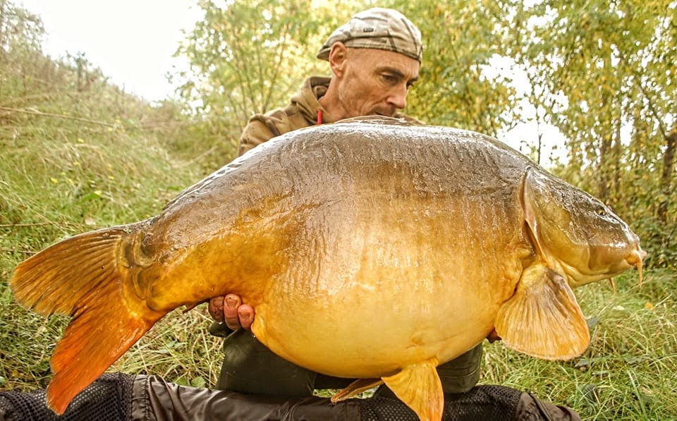 PROBIO-FISH