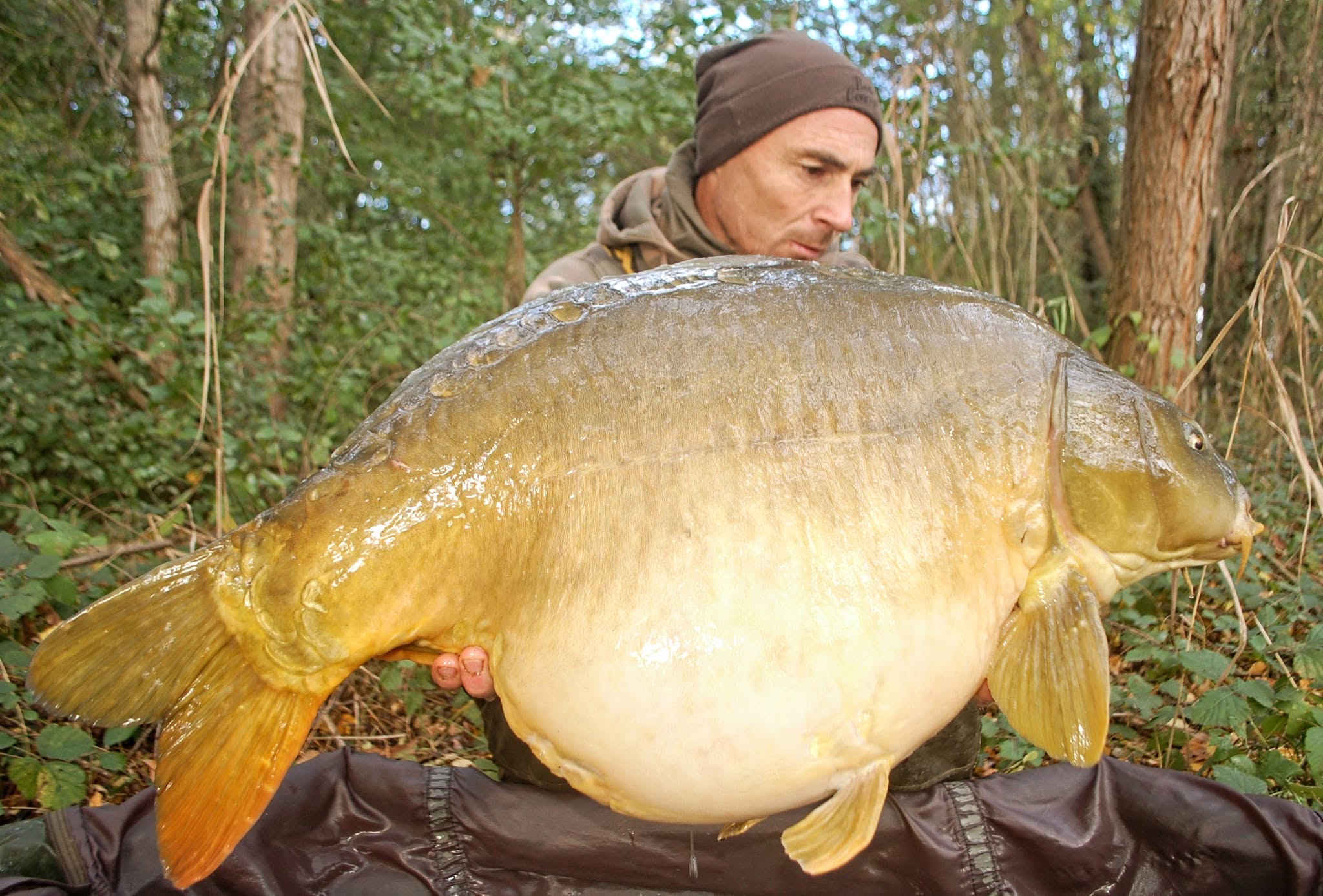 Probio-Fish