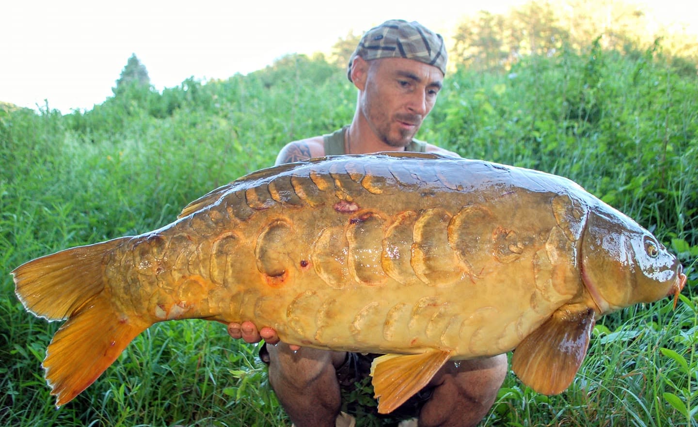 Probio-fish