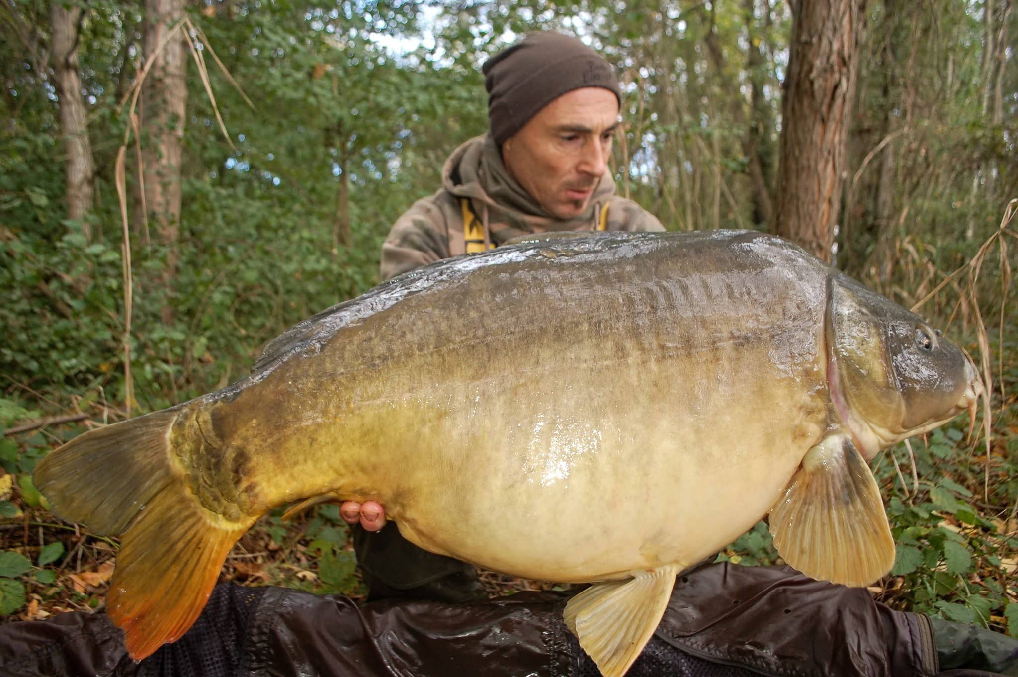 Probio-Fish