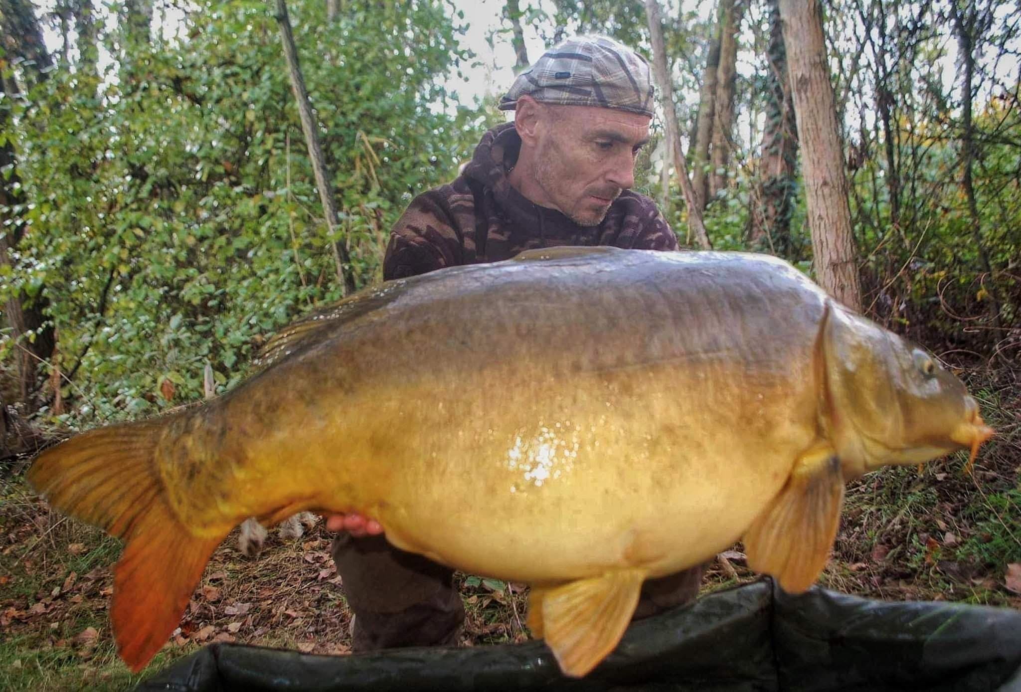 Probio-Fish