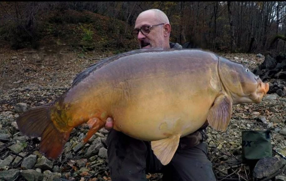 Probio-Fish