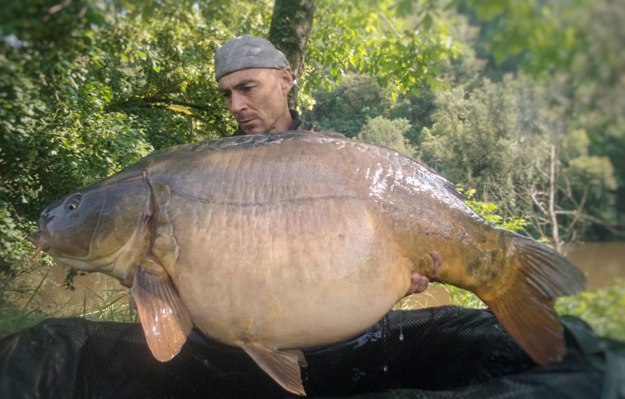 Probio-Fish