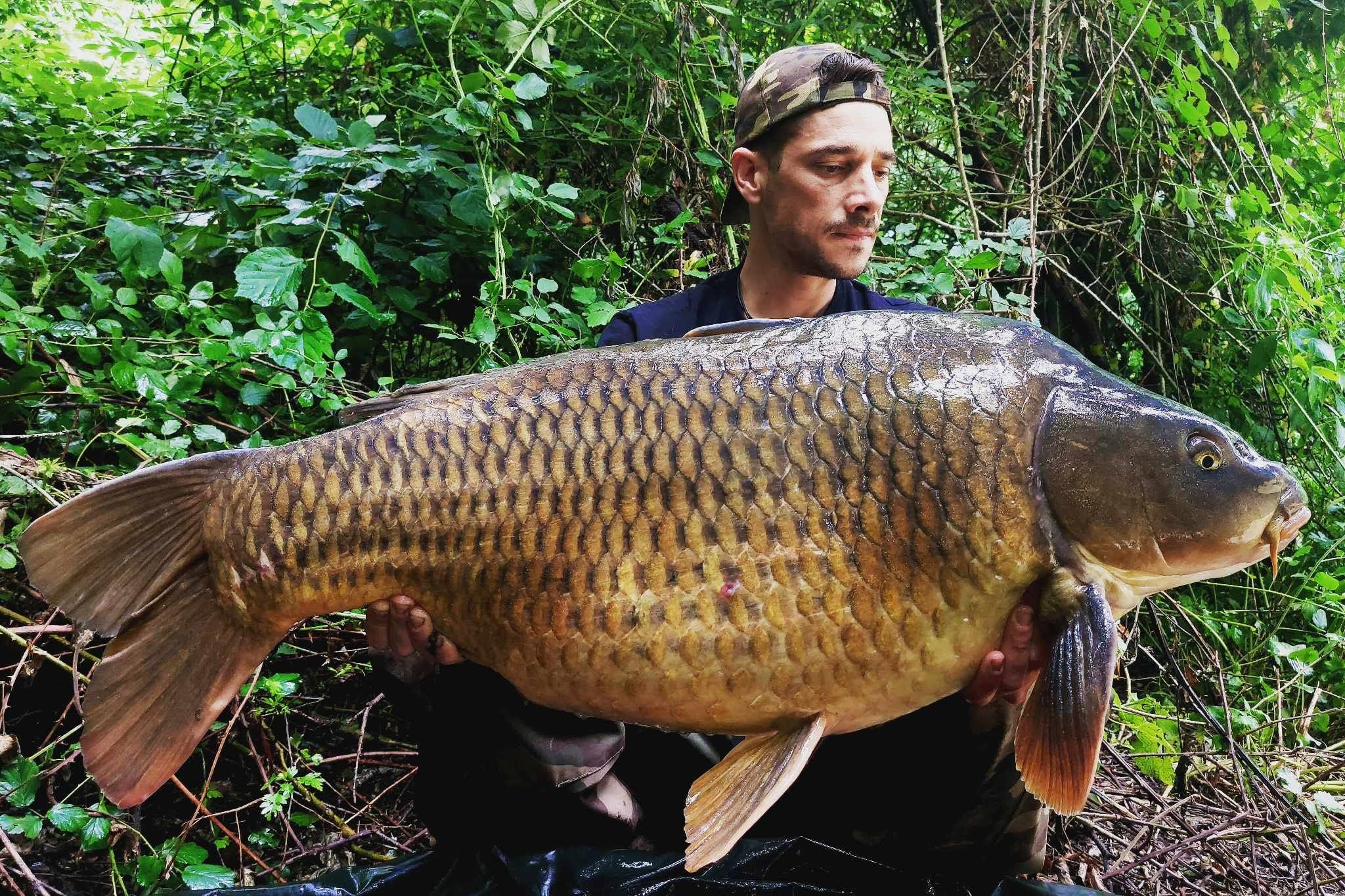 Probio-Fish