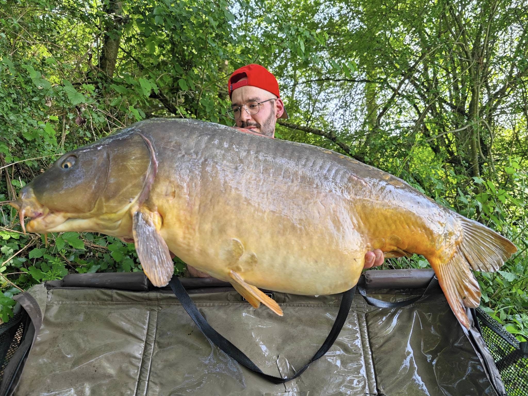 Probio-Fish