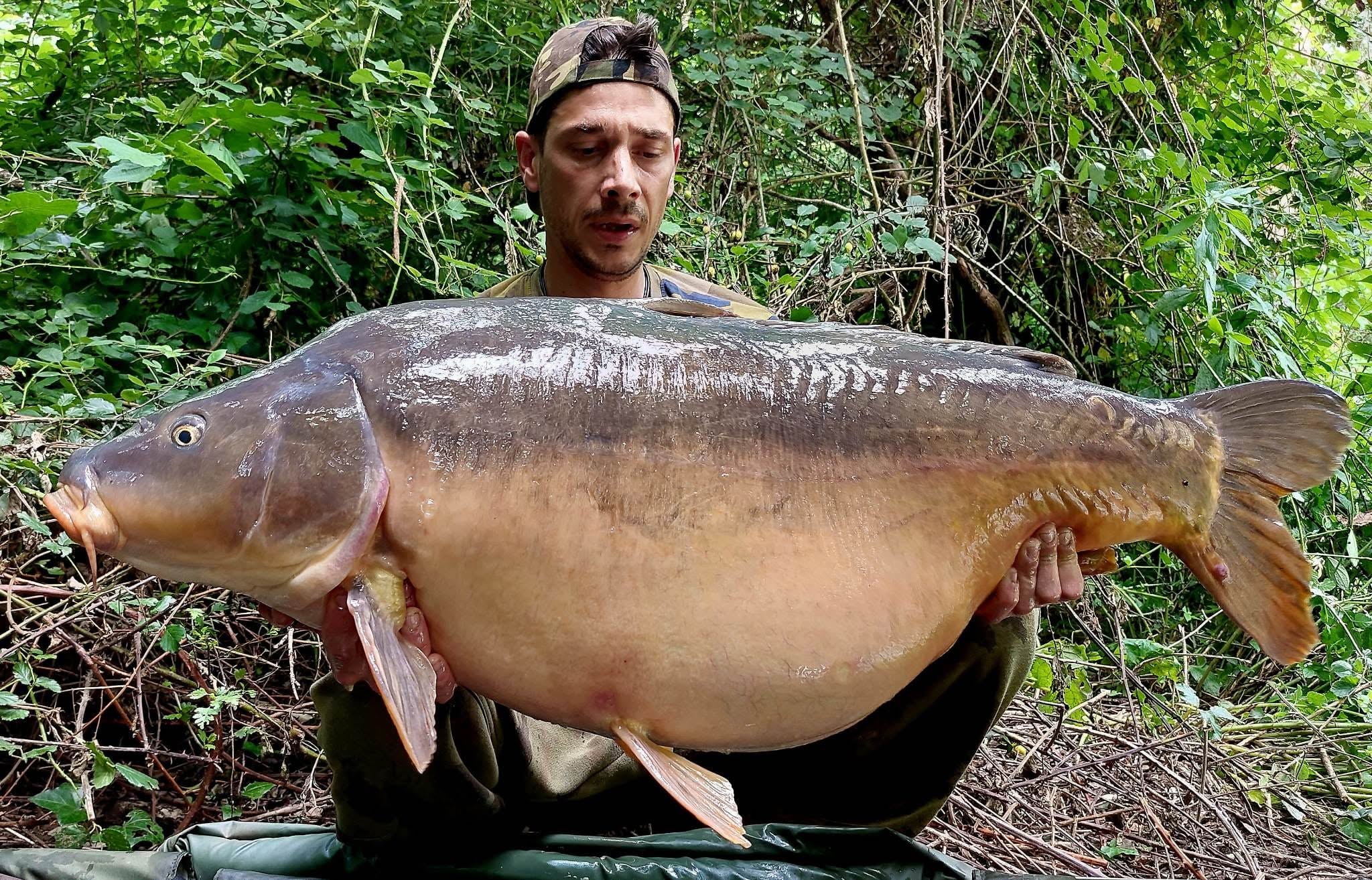 Probio-Fish