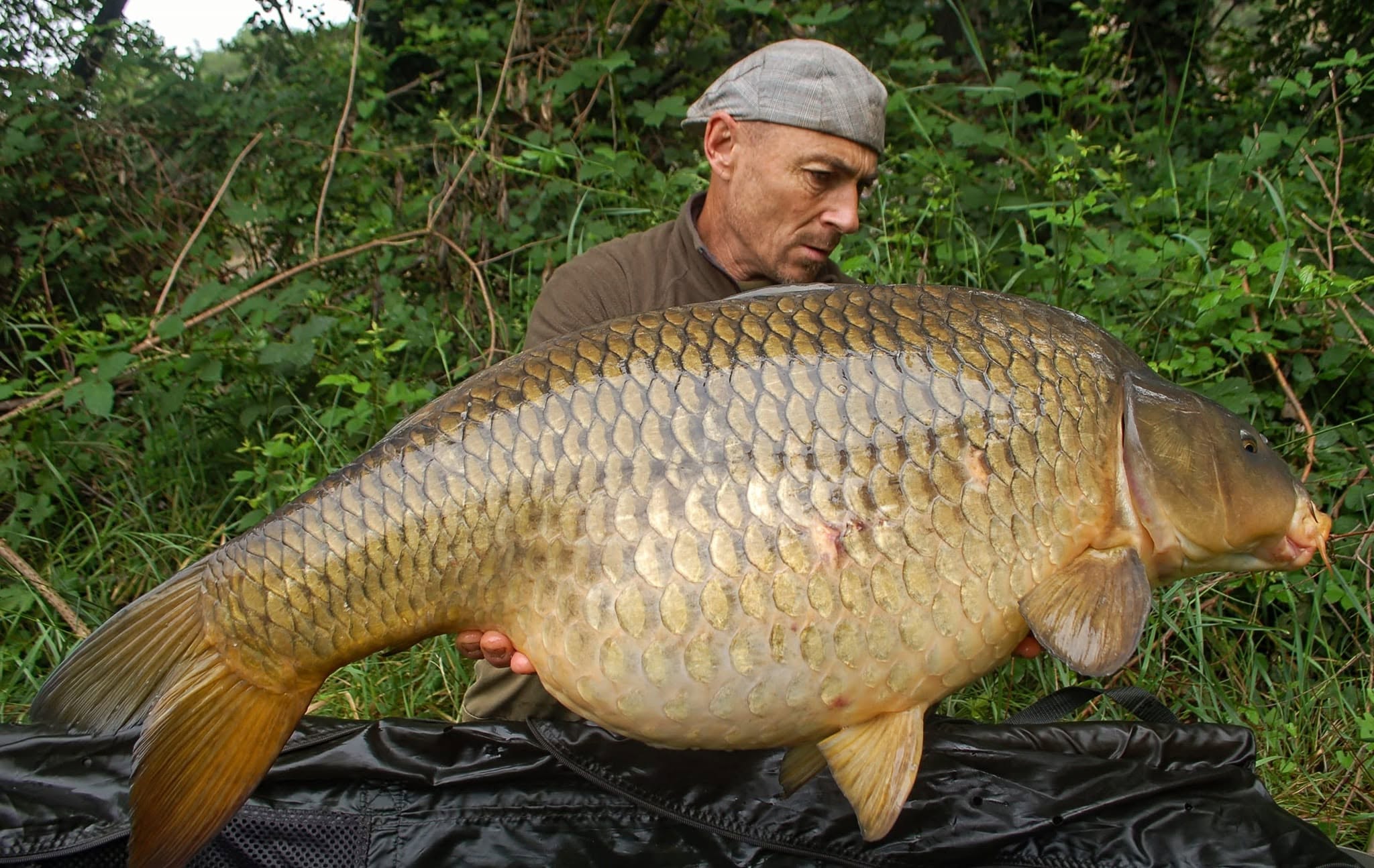 Probio-Fish