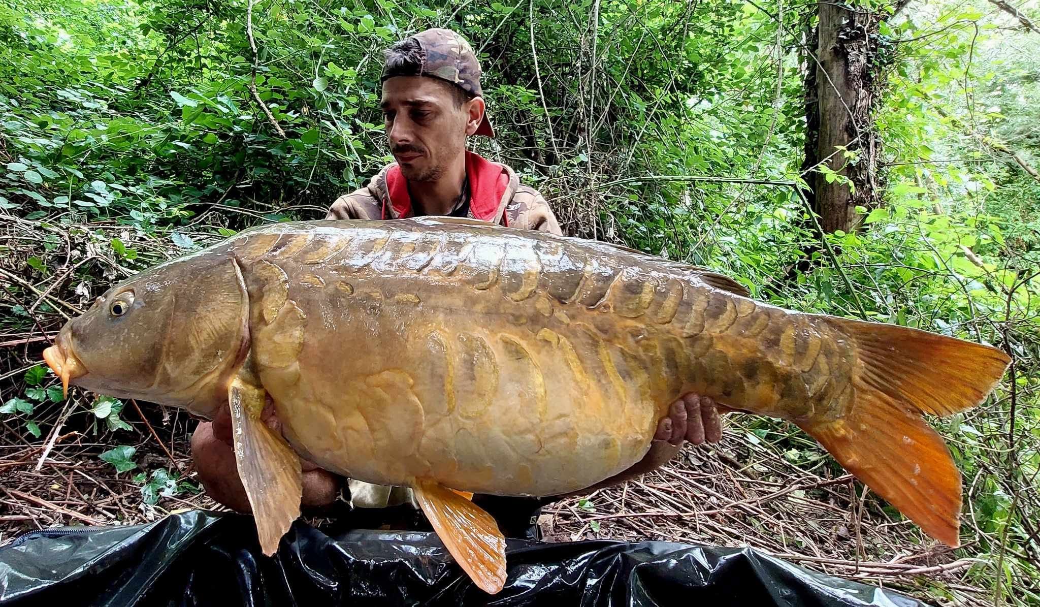 Probio-Fish