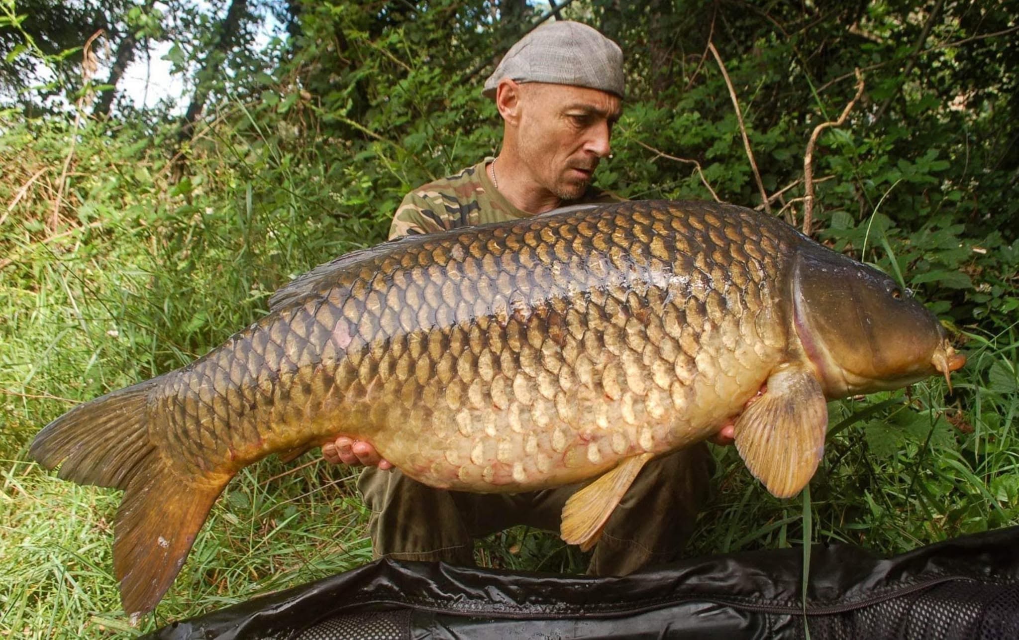 Probio-Fish