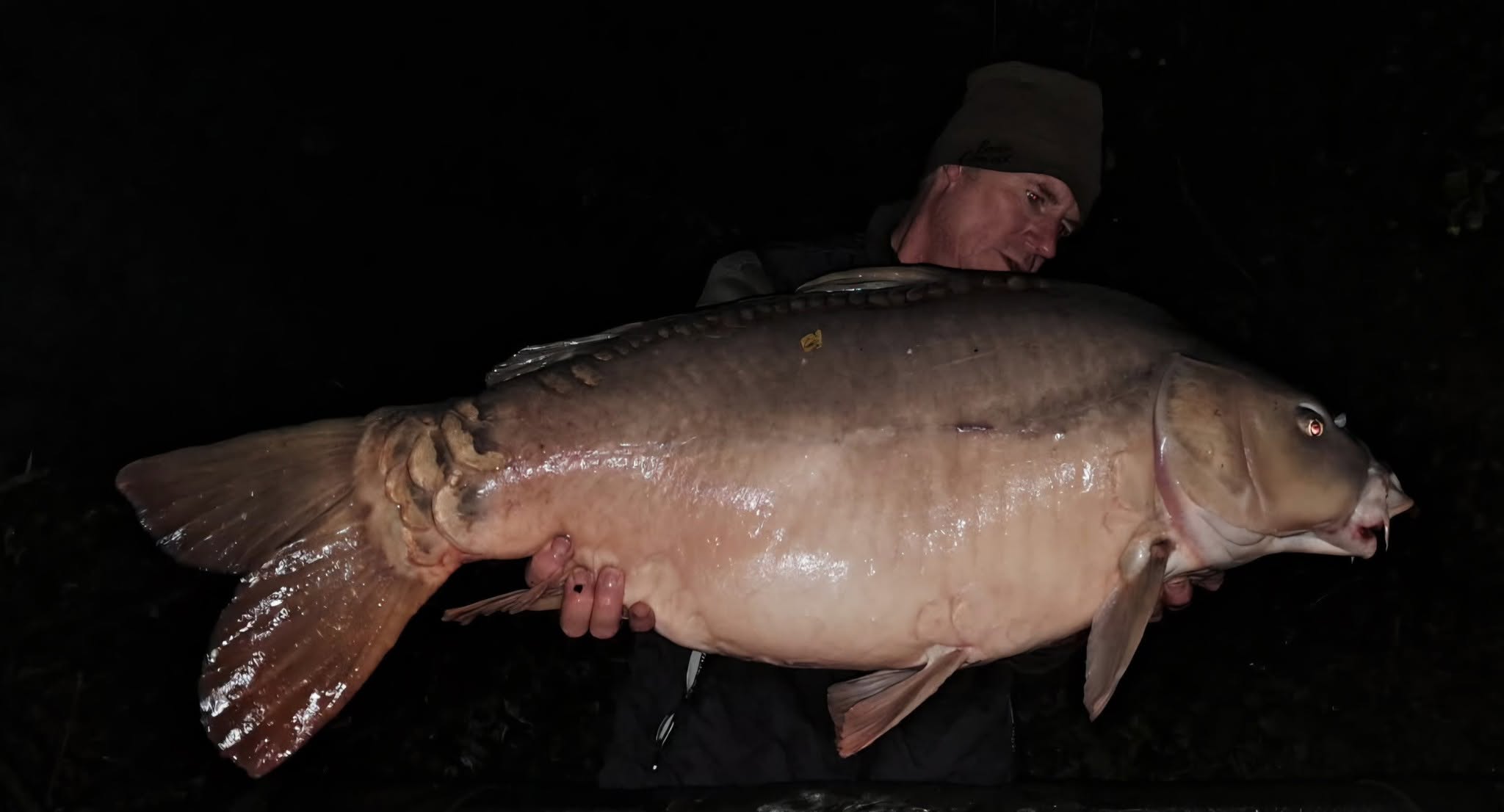 Probio-Fish