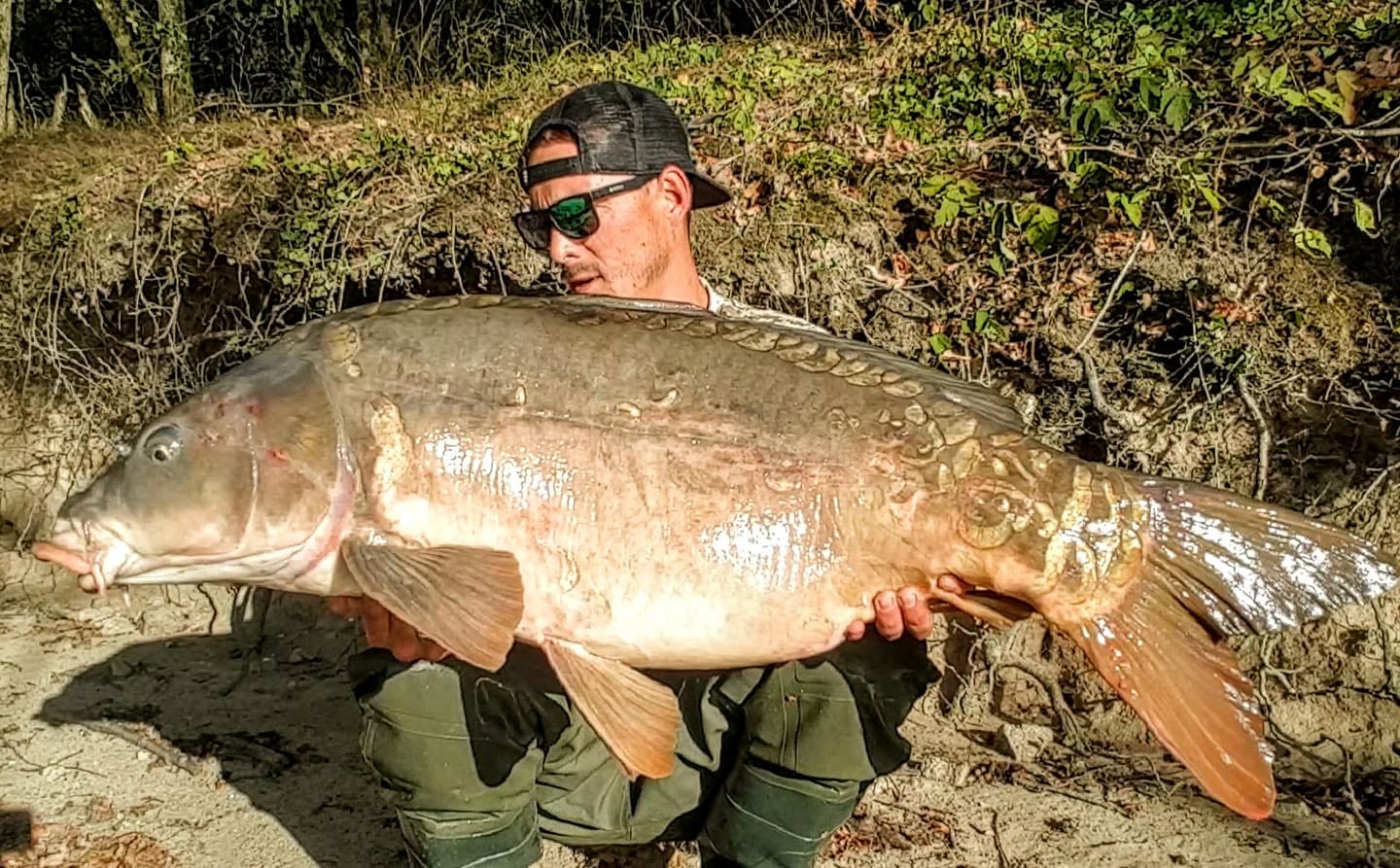 PROBIO-FISH