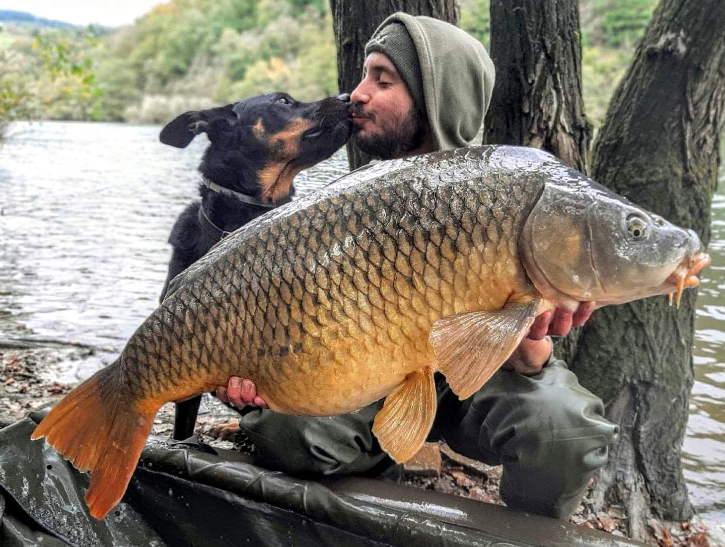 PROBIO-FISH