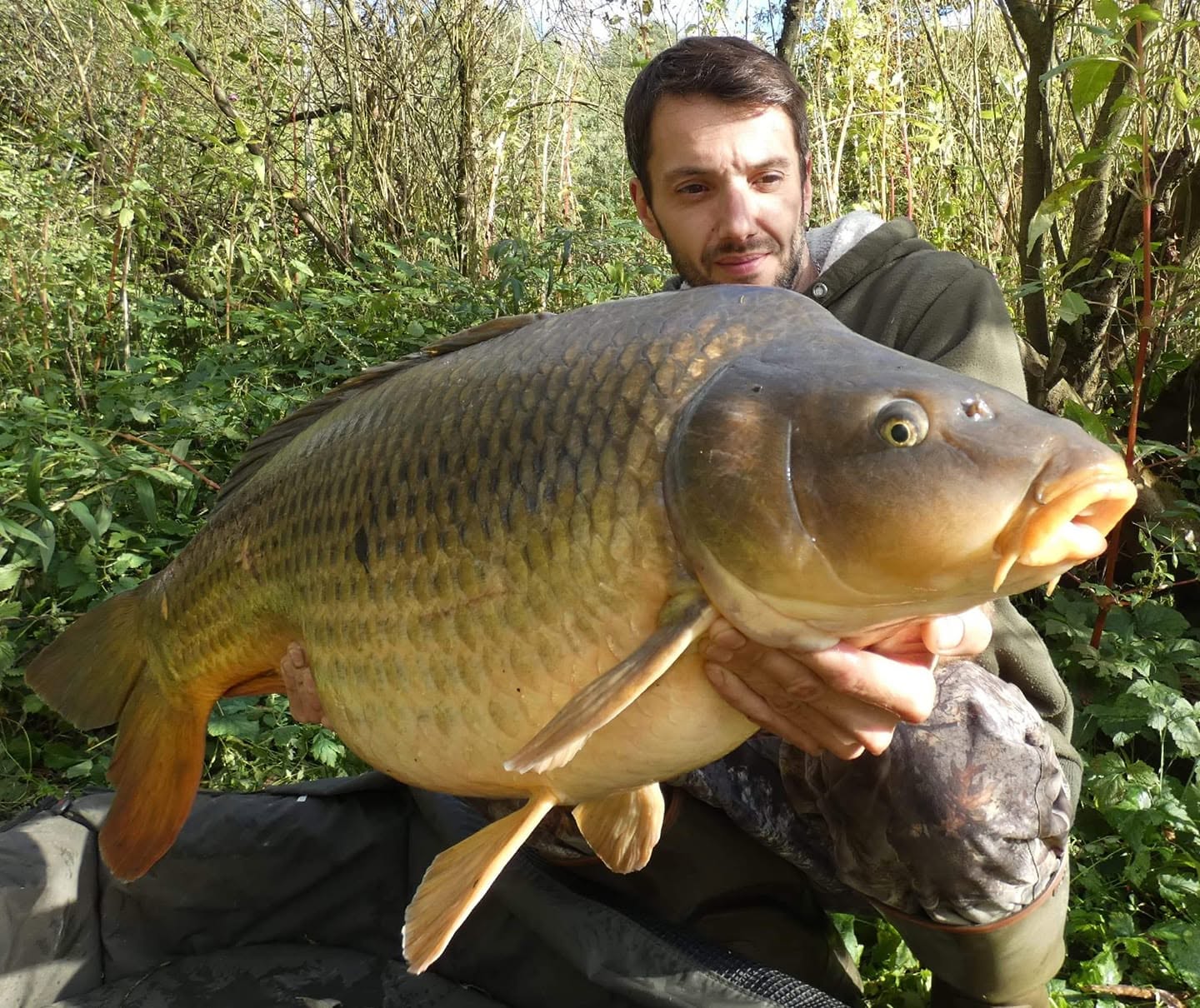 ORIENT & SPICE PROBIO-FISH
