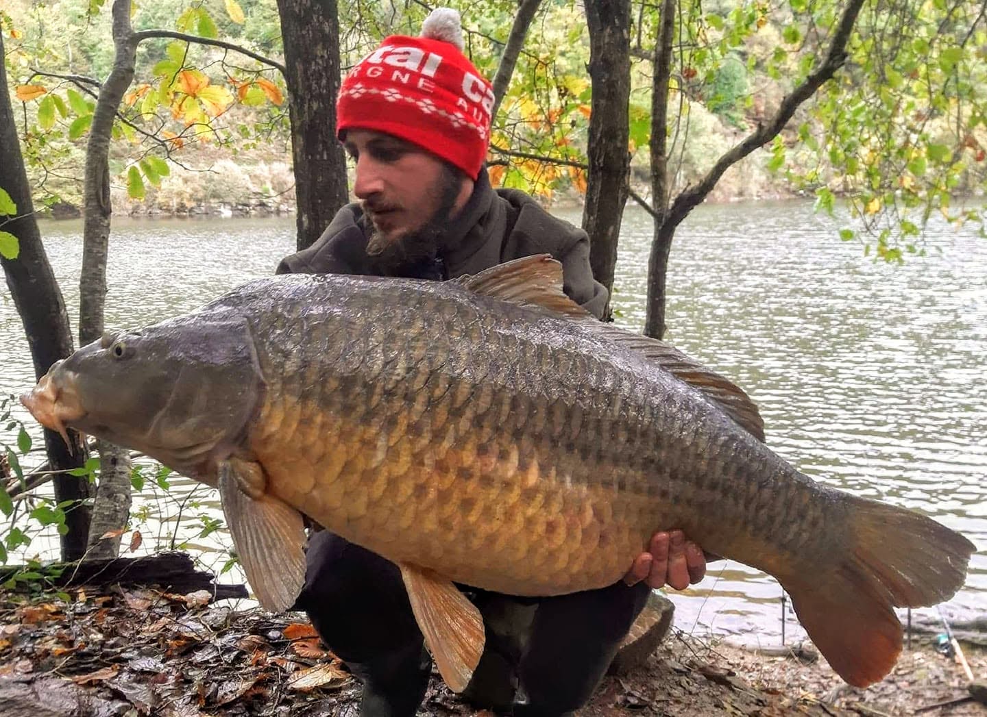 PROBIO-FISH