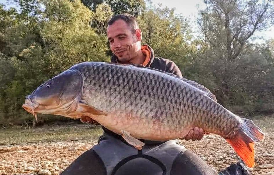 Fat Carp