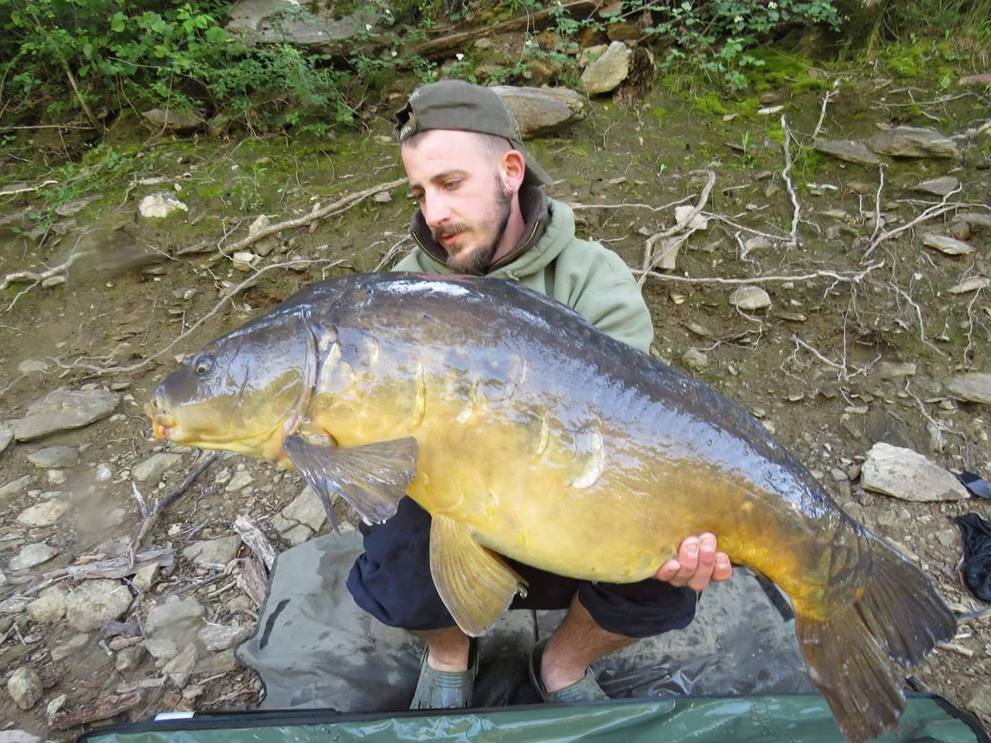 PROBIO-FISH