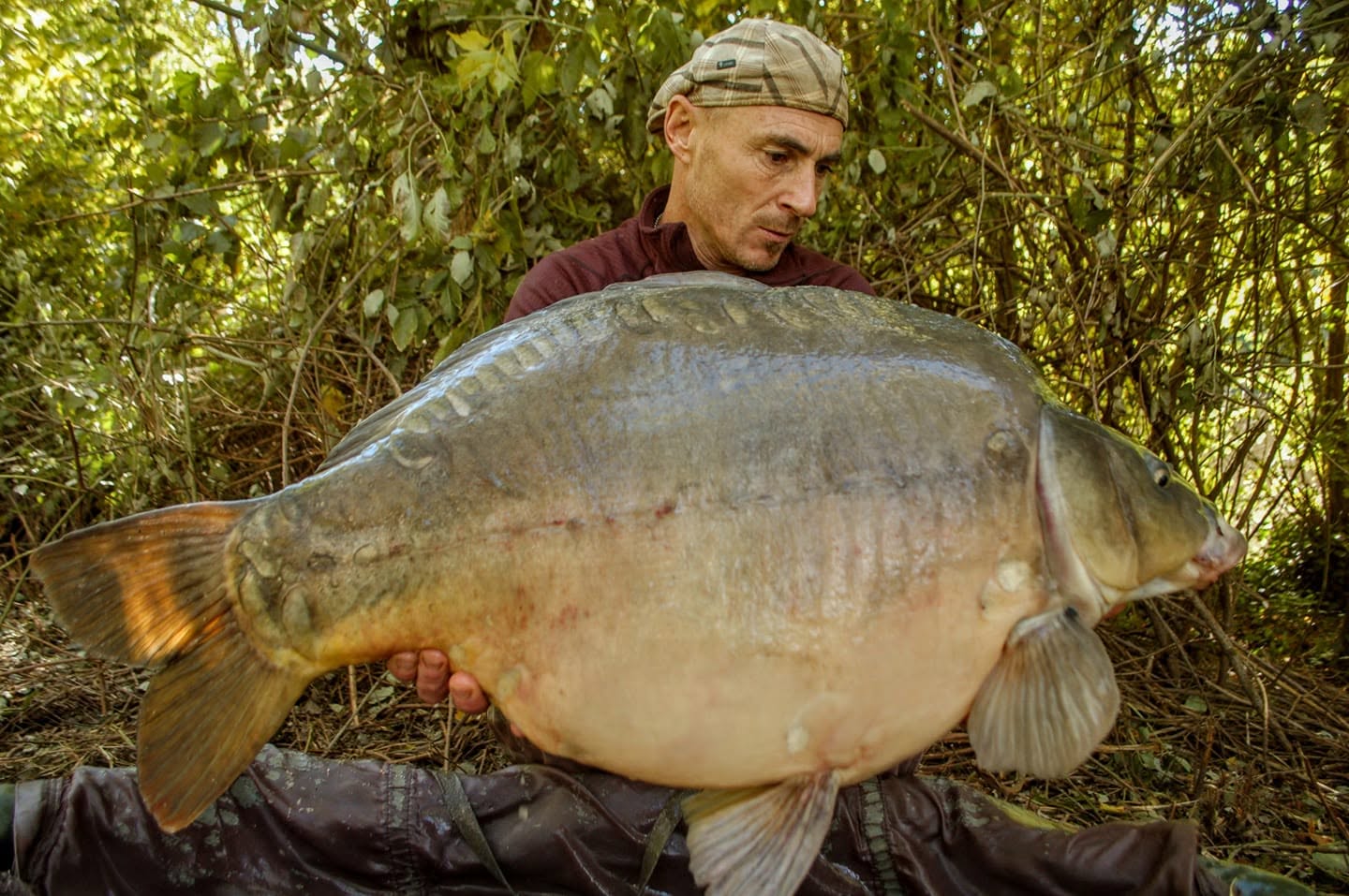 PROBIO-FISH