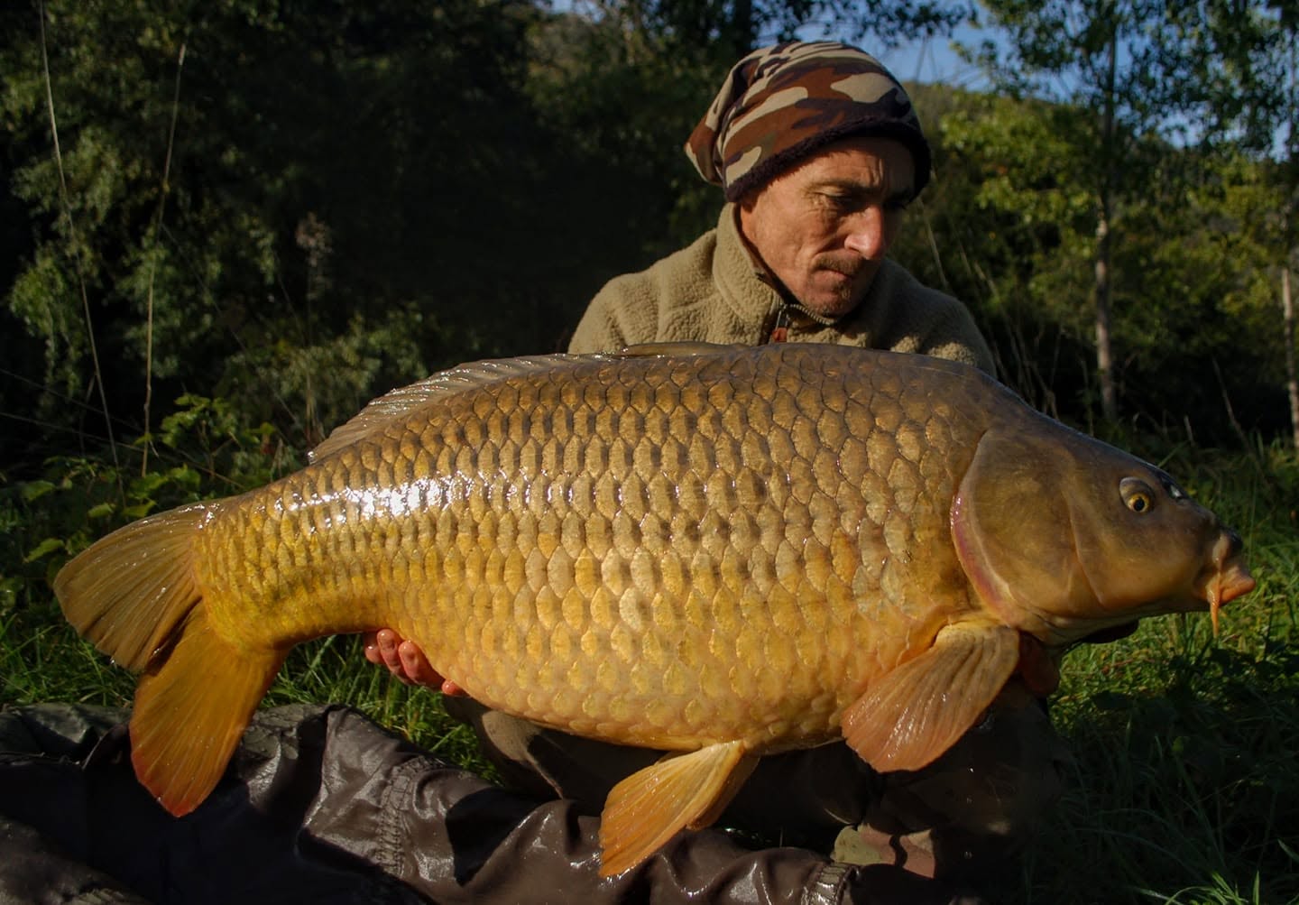 PROBIO-FISH