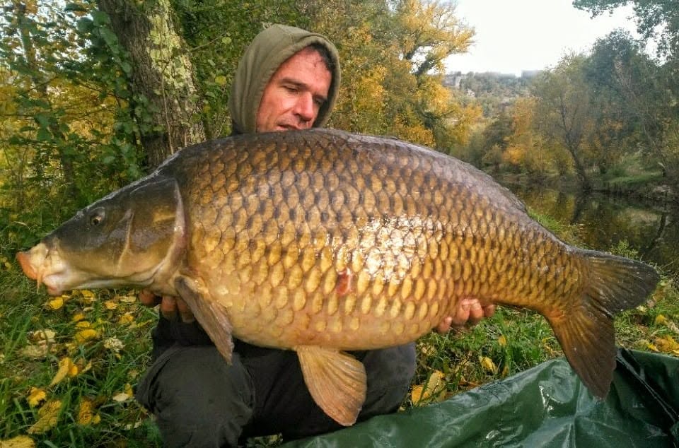 PROBIO-FISH