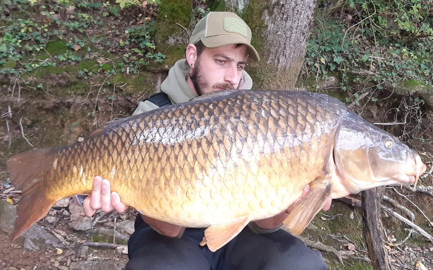 FAT CARP
