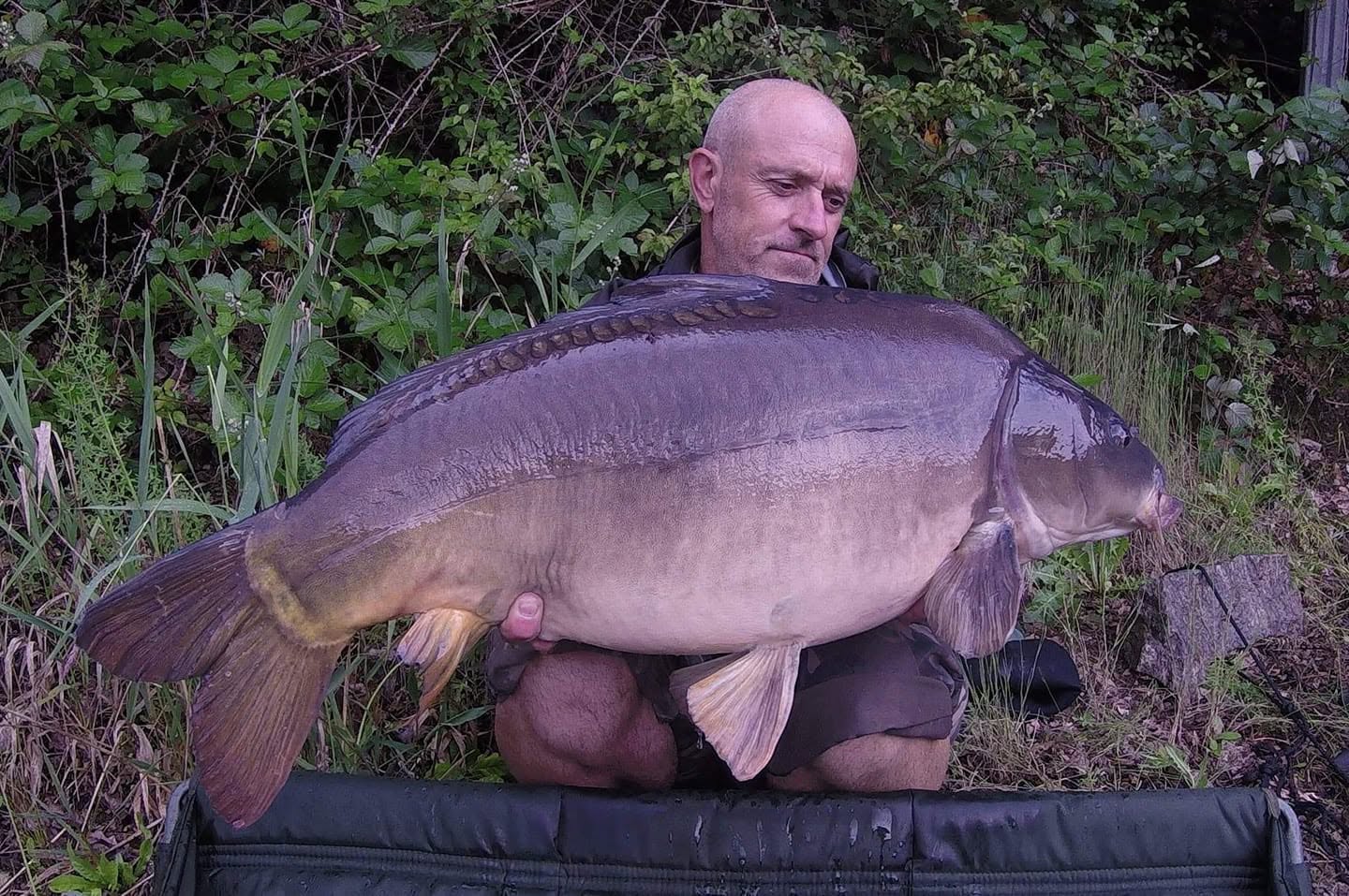 FAT CARP