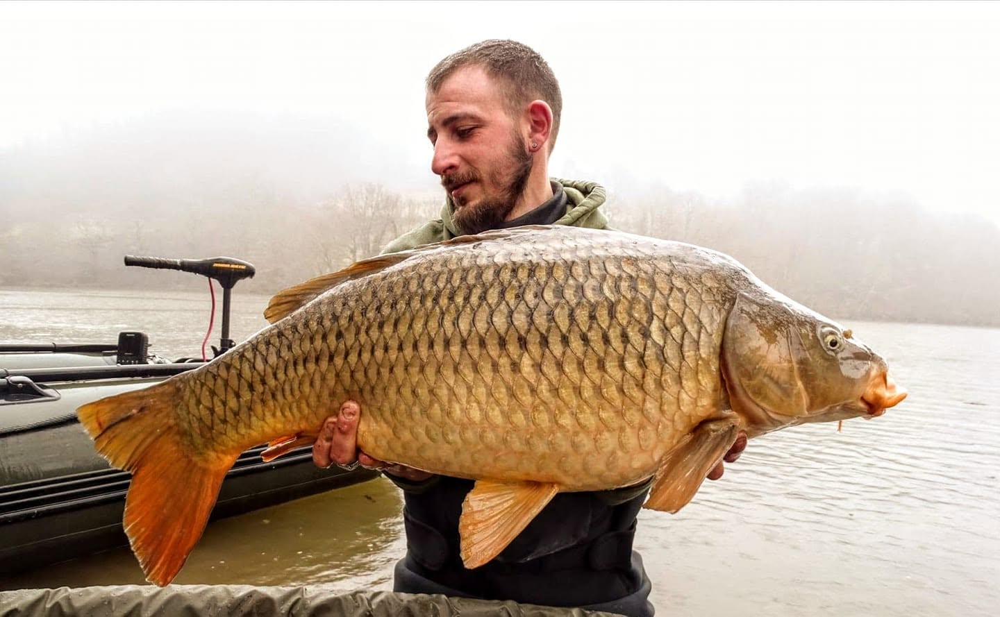 PROBIO-FISH
