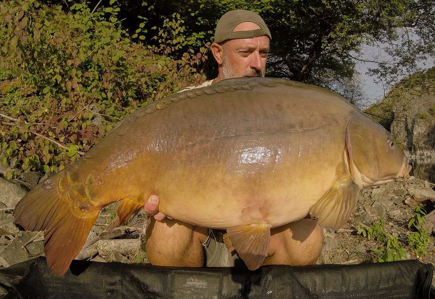 FAT CARP - ORIENT & SPICE