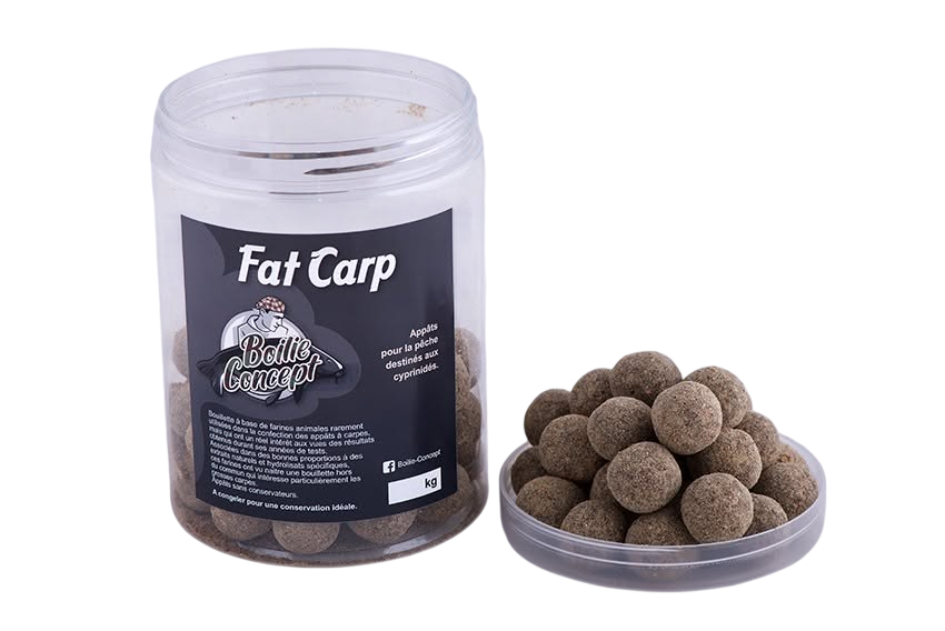 FAT CARP (Truffes)