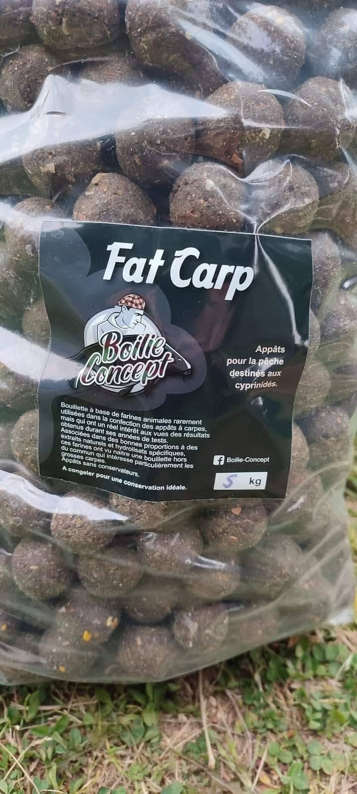 Fat Carp